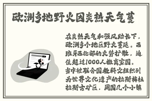 2024国精产品一二二线视频